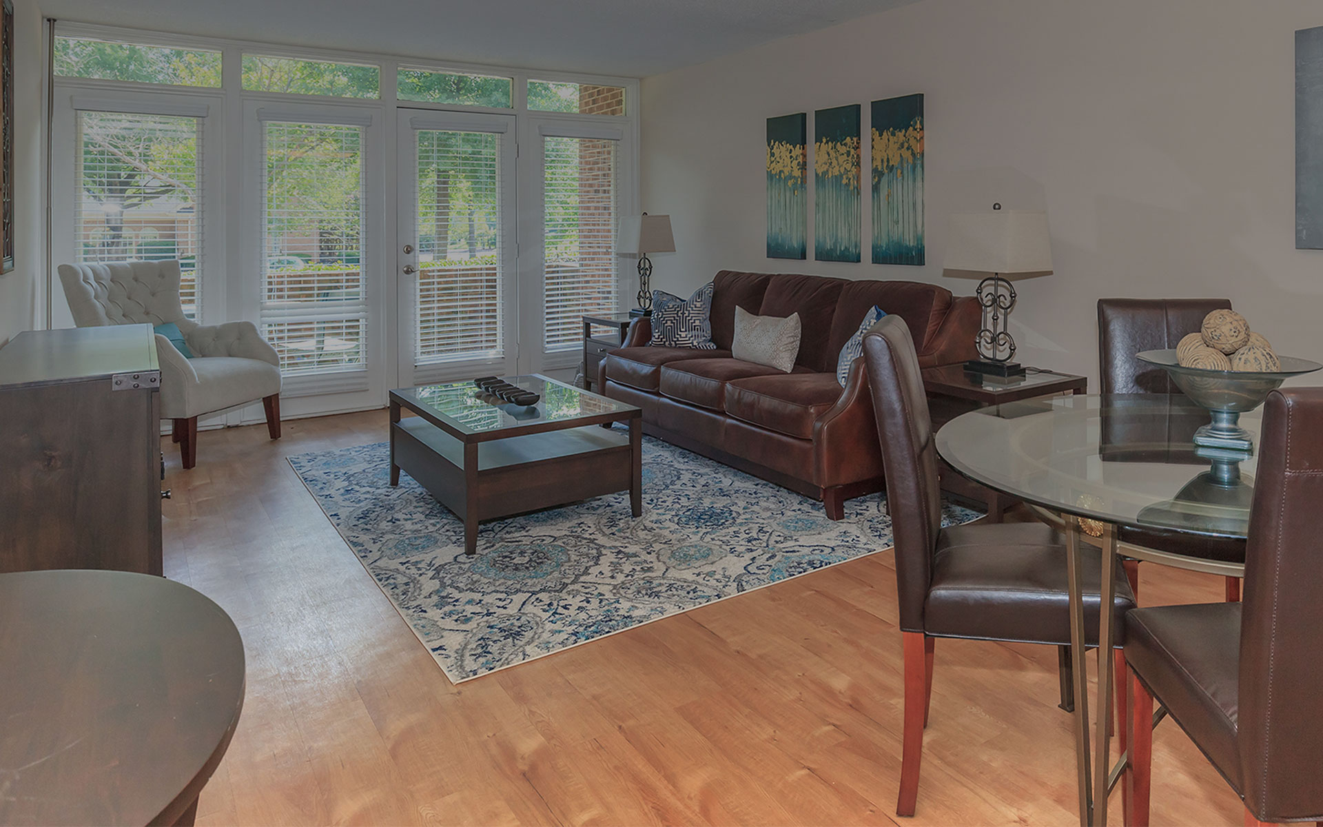 Windover Apartments in Knoxville, TN